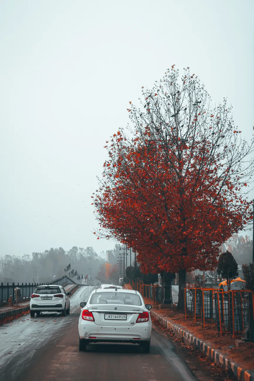 Civic EXL 2.0